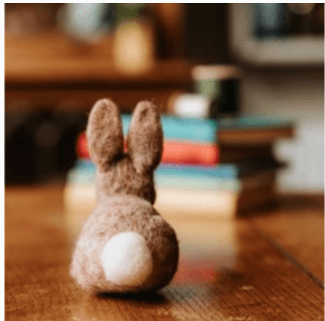 Baby Bunny Needle Felting Craft Kit
