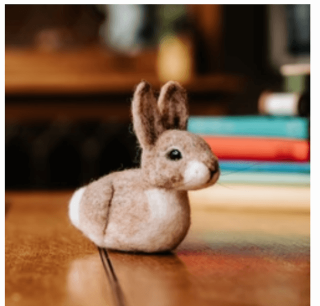Baby Bunny Needle Felting Craft Kit