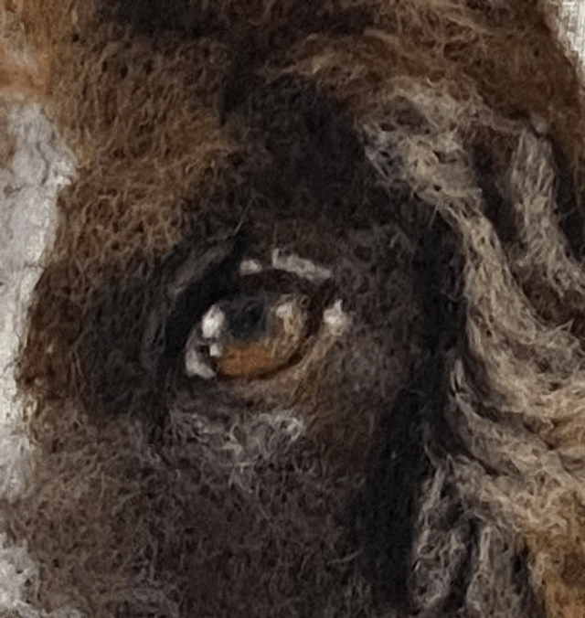 Needle Felted Pet Portrait