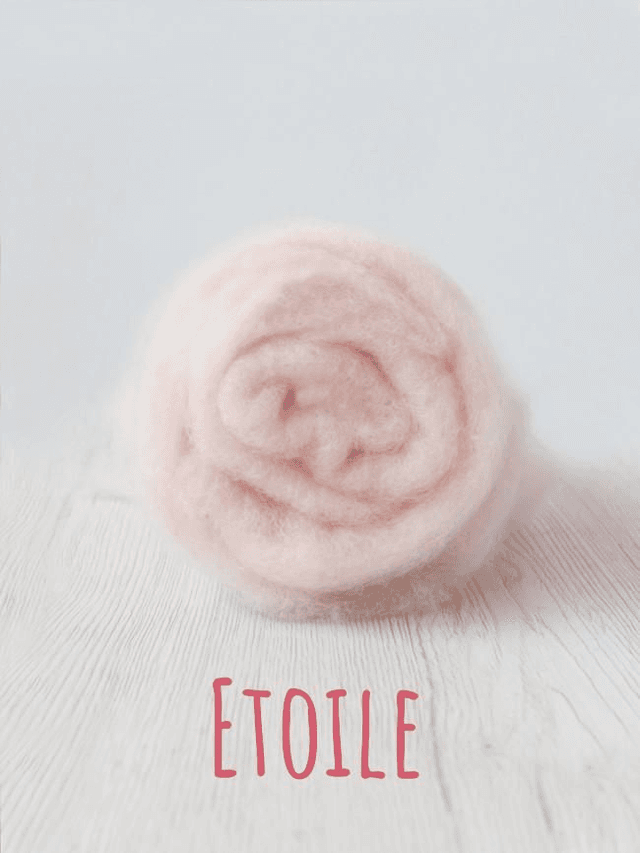 Carded wool for Needle Felting Maori DHG Carded Batt - Etoile